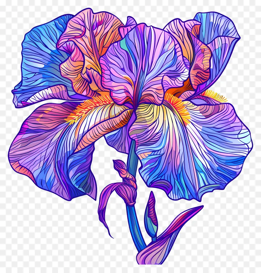 Iris Fleur，Blue Iris Fleur PNG