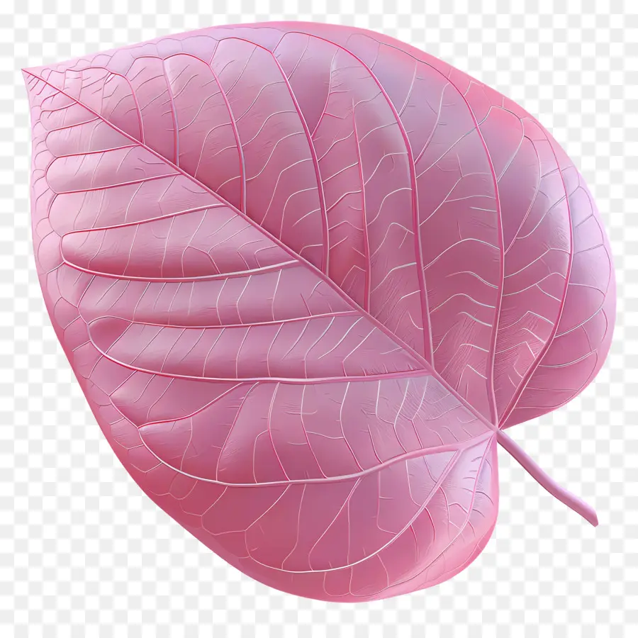 Feuille De Redbud Oriental，Feuille Rose PNG