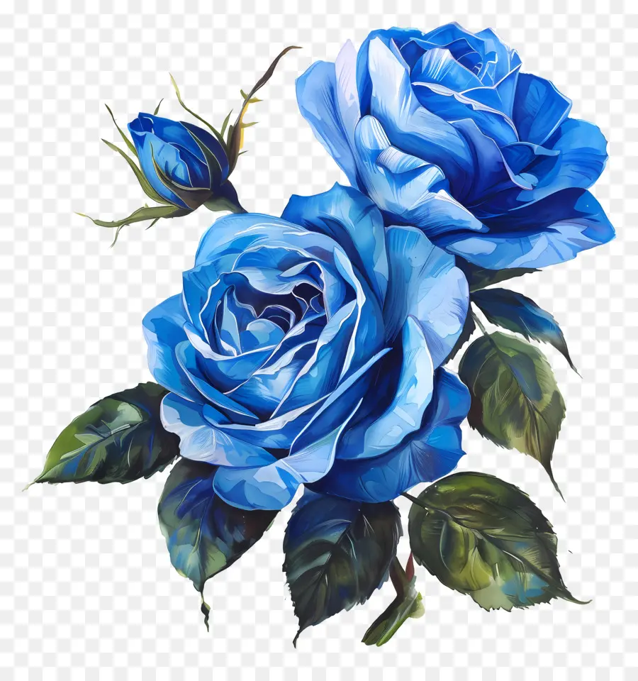 Roses Bleues，Peinture à L'aquarelle PNG