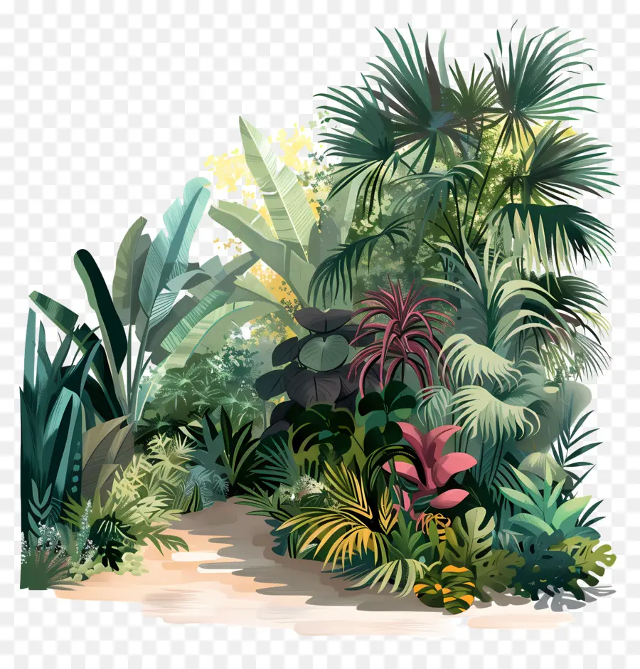 Jardin Luxuriant，Plantes Tropicales PNG