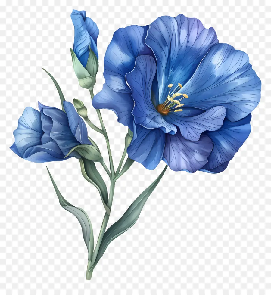 Fleur De Lisianthus Bleu，Fleur Bleue PNG