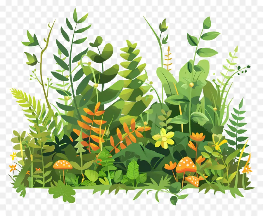 Couverture Végétale，Plantes PNG