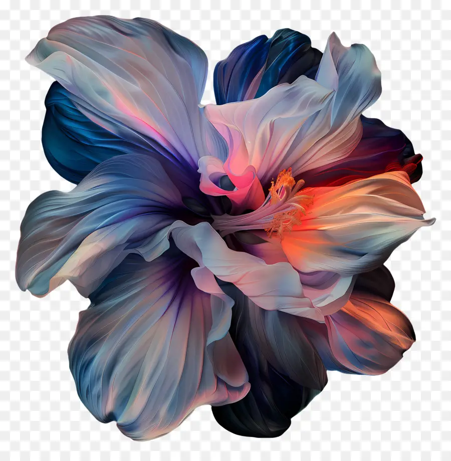 Des Irisations，Fleur D'hibiscus PNG