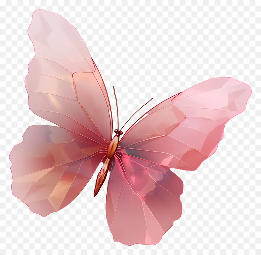 Papillon Rose，Papillon PNG