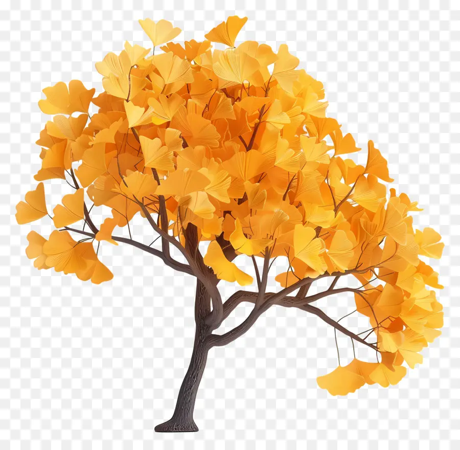 Ginkgo Chinois，Arbre Doré PNG