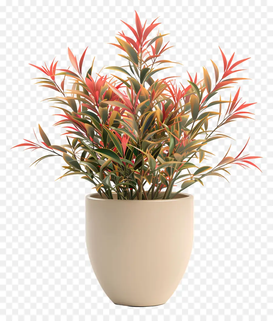 Nandina Domestica，Plante En Pot PNG