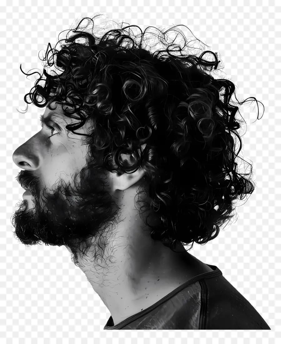 Vue Côté Visage De L'homme，Les Cheveux Bouclés PNG