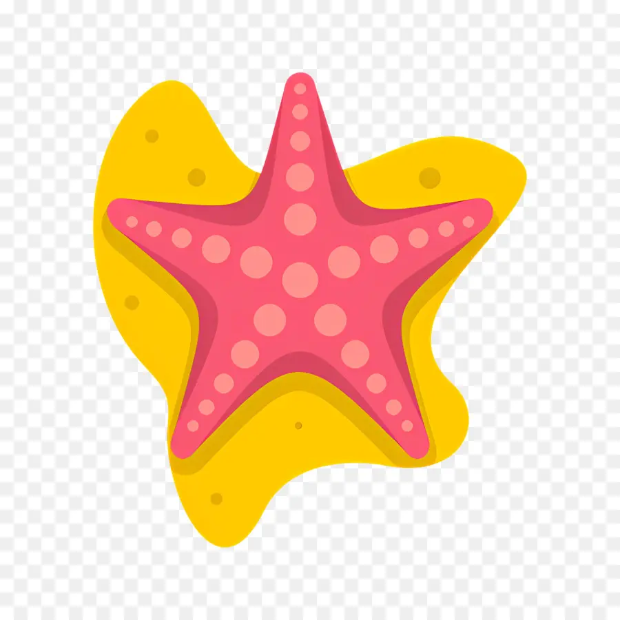 Logo étoile，étoile De Mer En Plastique PNG