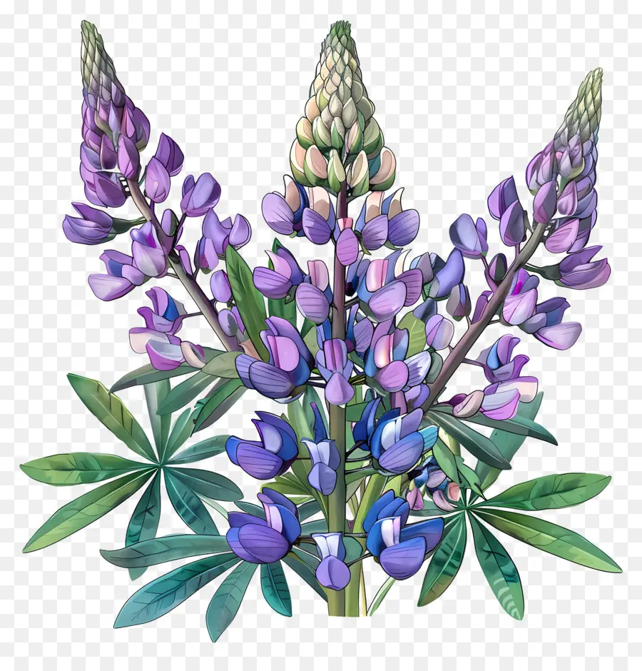 Fleur De Lupin，Fleurs Bleues De Lupin PNG