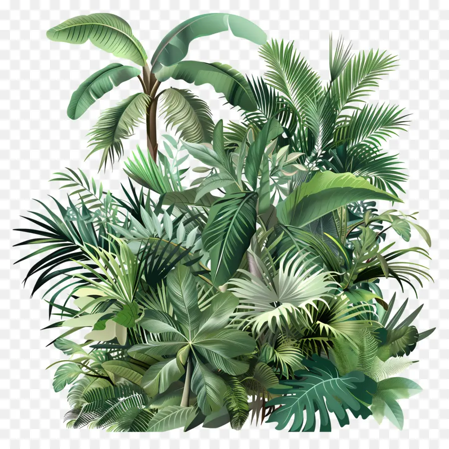 La Végétation Tropicale，La Jungle Tropicale PNG