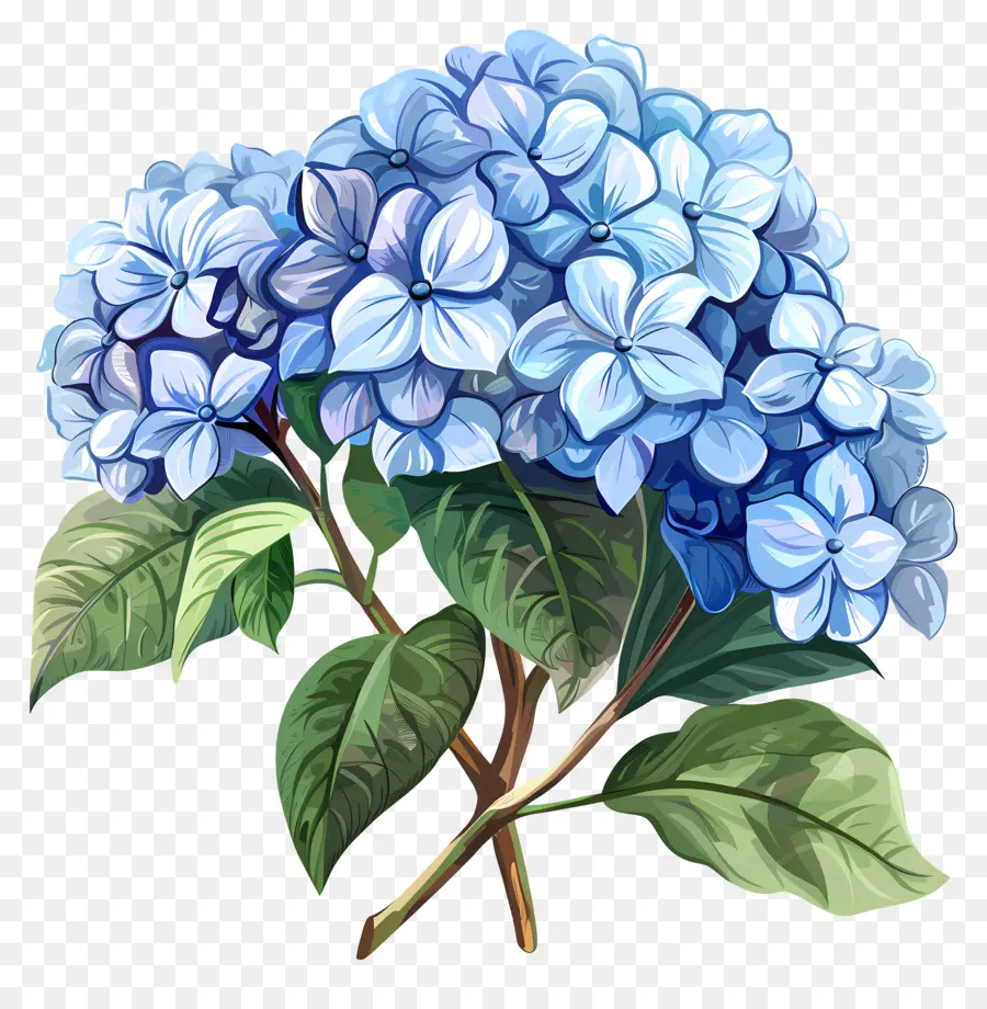 Bleu Hortensia，Bouquet PNG