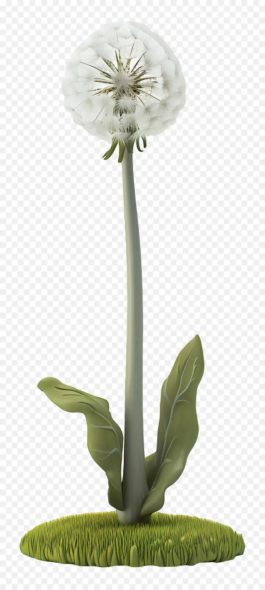 Pissenlit，Fleur PNG