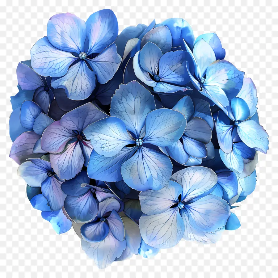 Bleu Hortensia，Bornes Bleues PNG
