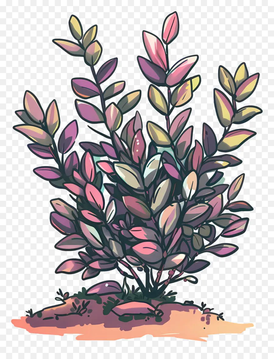 Arbuste，Rose Plante PNG