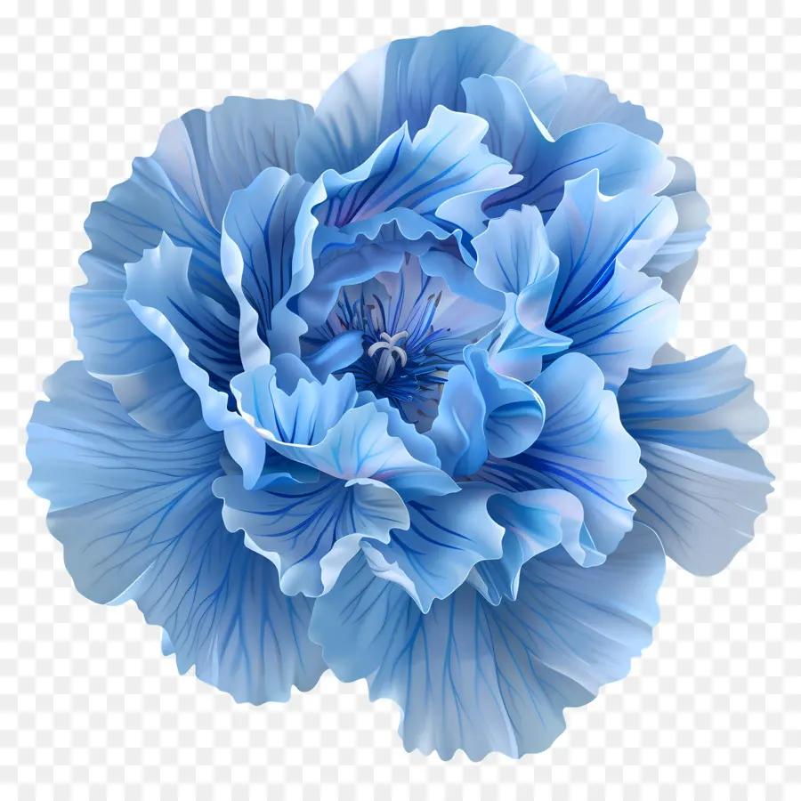 œillet Bleu，Fleur Bleue PNG