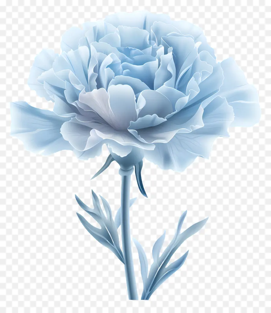 œillet Bleu，Fleurs Bleues PNG