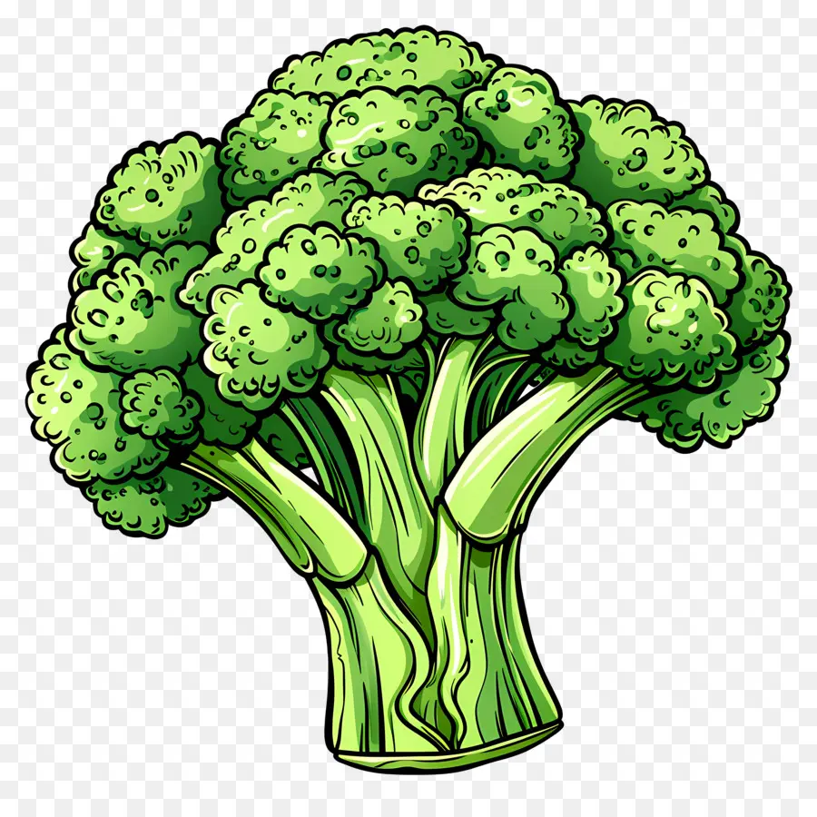 Brocoli，Les Légumes Verts PNG