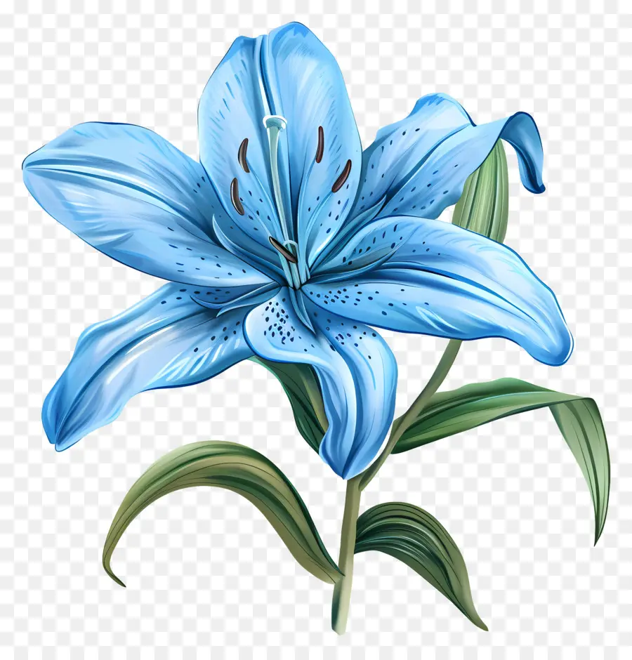 Lily Bleue，Fleur Peinture PNG