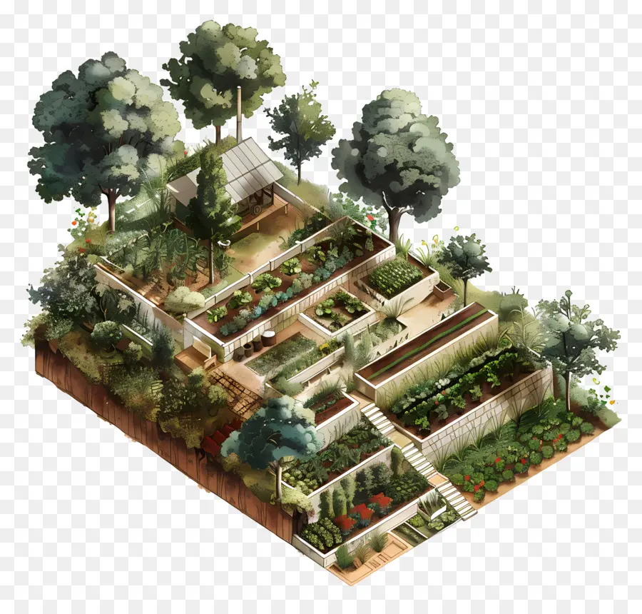 Agriculture De Terrasse，Illustration De Jardin PNG
