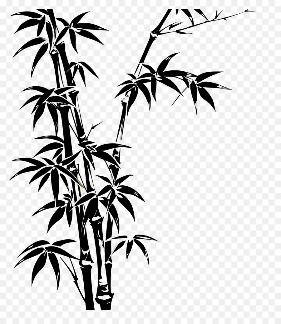 Bambou，L'arbre En Bambou PNG