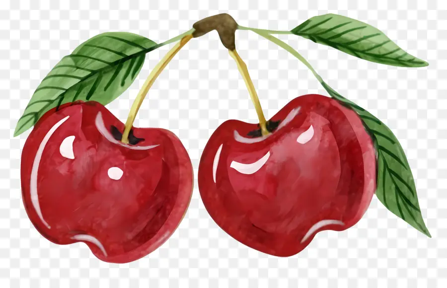 Cerises，Fruits Rouges PNG