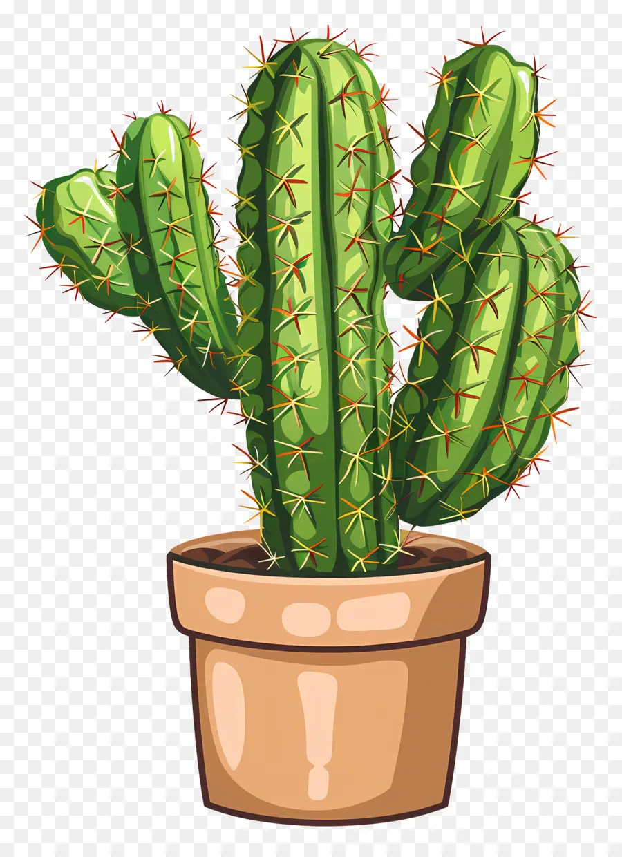 Cactus，Pot En Argile PNG