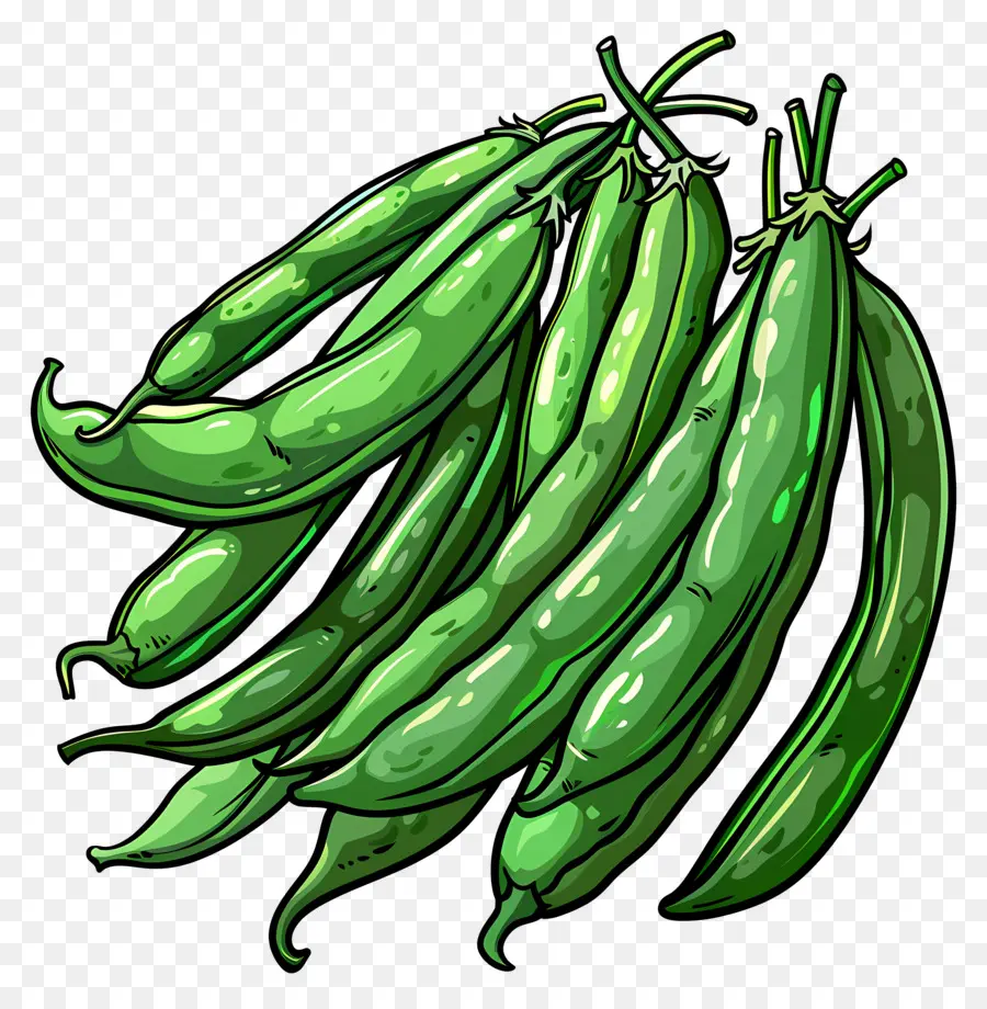 Haricots Verts，Pois PNG