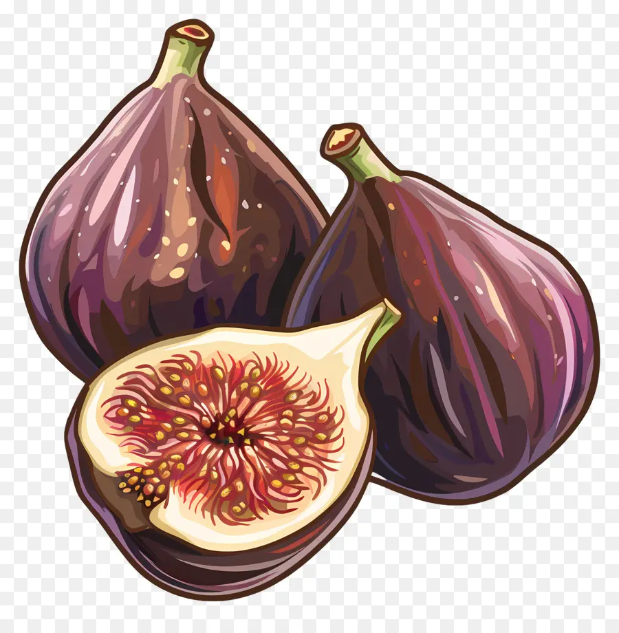 Figues，Fig PNG