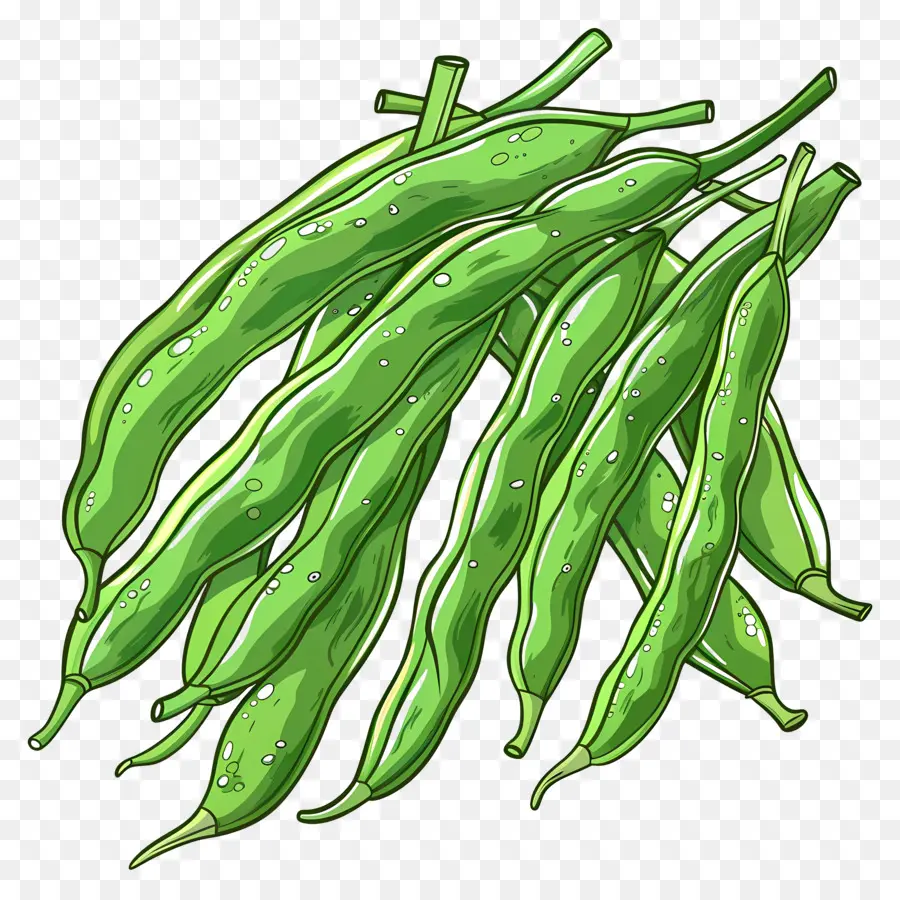 Haricots Verts，Les Haricots PNG