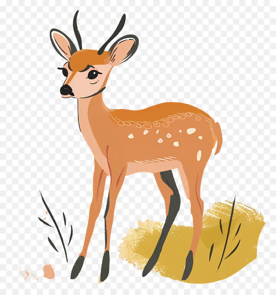 Cerf Clipart，Cerf PNG