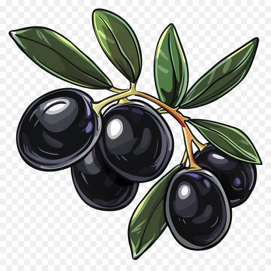 Olives Noires，Olive Noire PNG