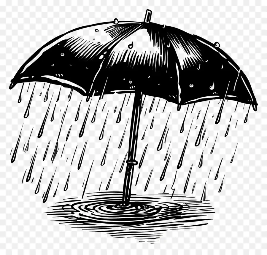 La Pluie，Parapluie PNG
