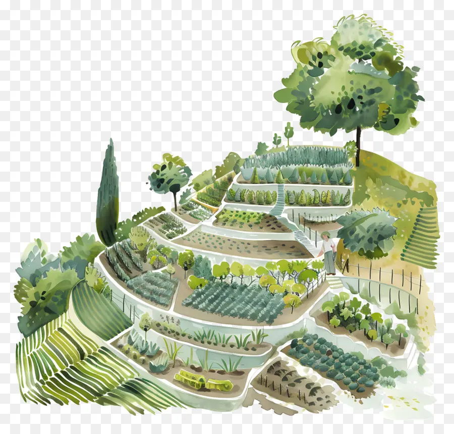 Agriculture De Terrasse，Jardin En Terrasses PNG