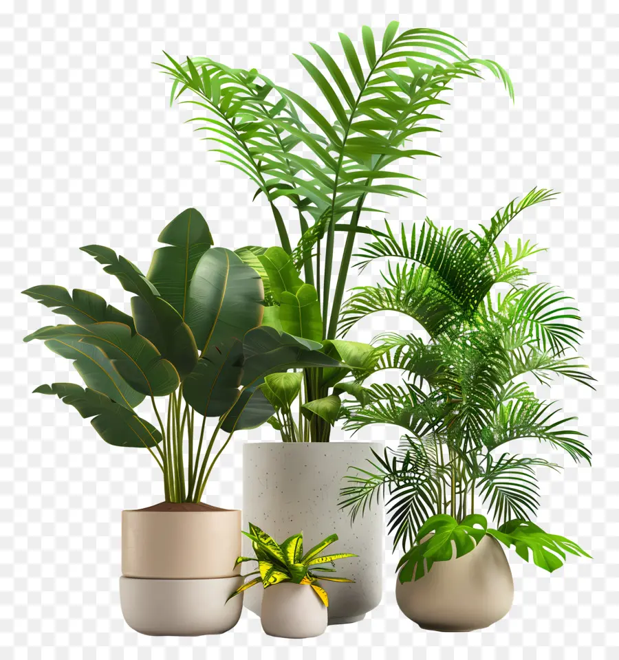 Les Plantes D'intérieur，Les Plantes En Pot PNG