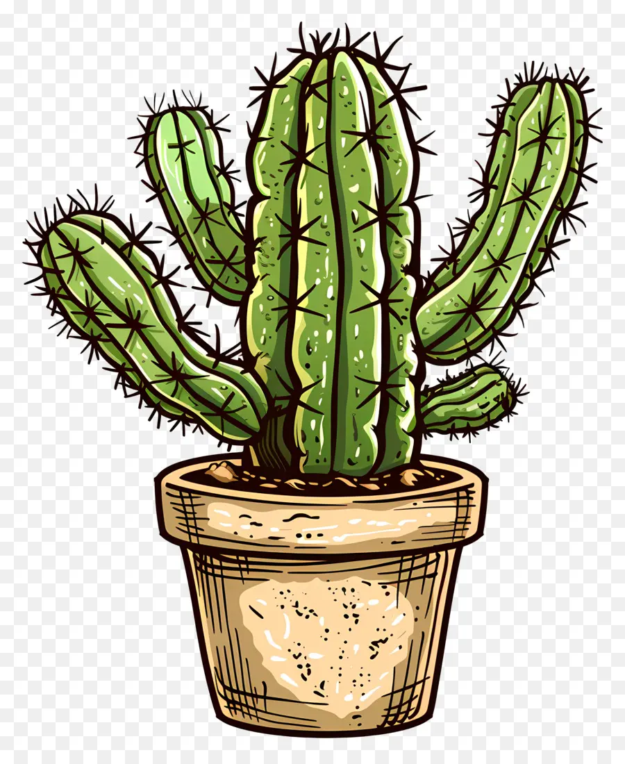 Cactus，Plante En Pot PNG