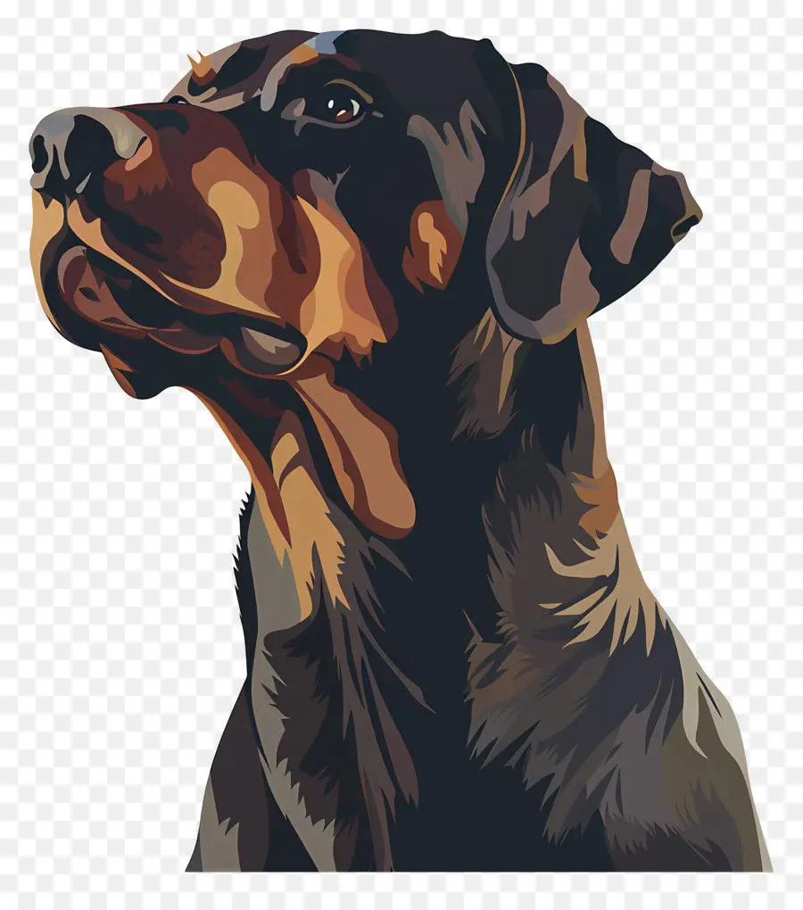 Chien，Rottweiler PNG