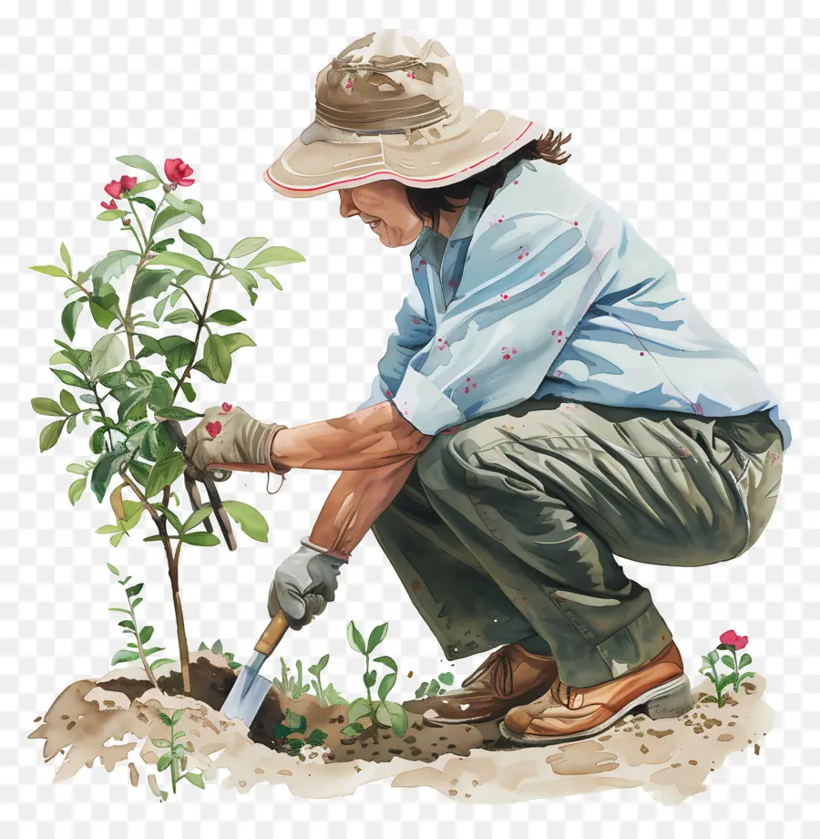 Journée D'exercice Du Jardinage，Jardinage PNG