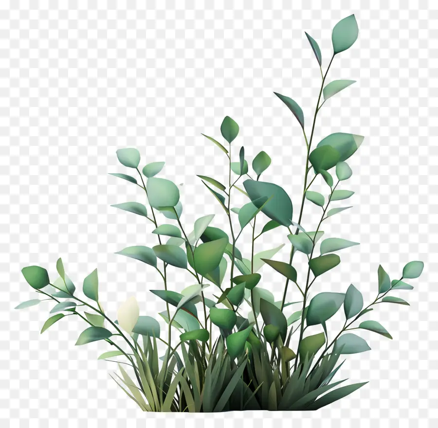 Plantes Vertes，Feuilles Vertes PNG