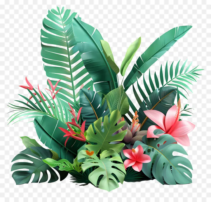 Plantes Tropicales，Plantation Tropicale PNG