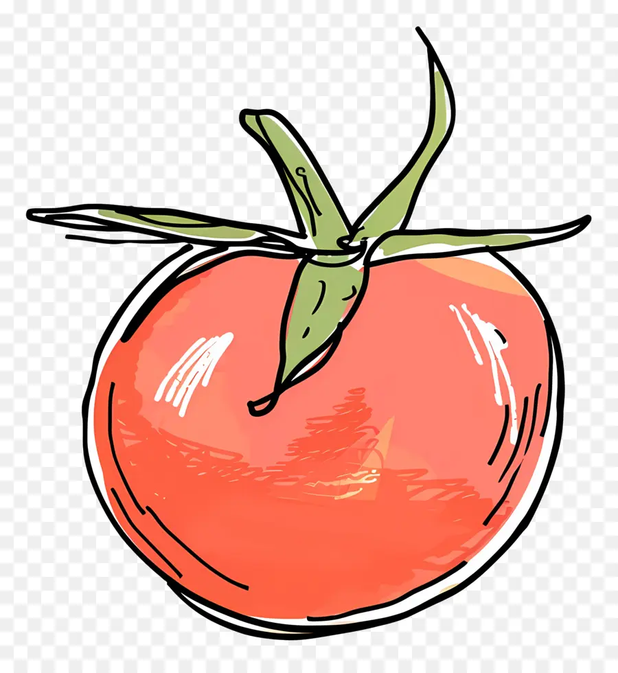 Tomate，Tomate Noir Et Blanc PNG