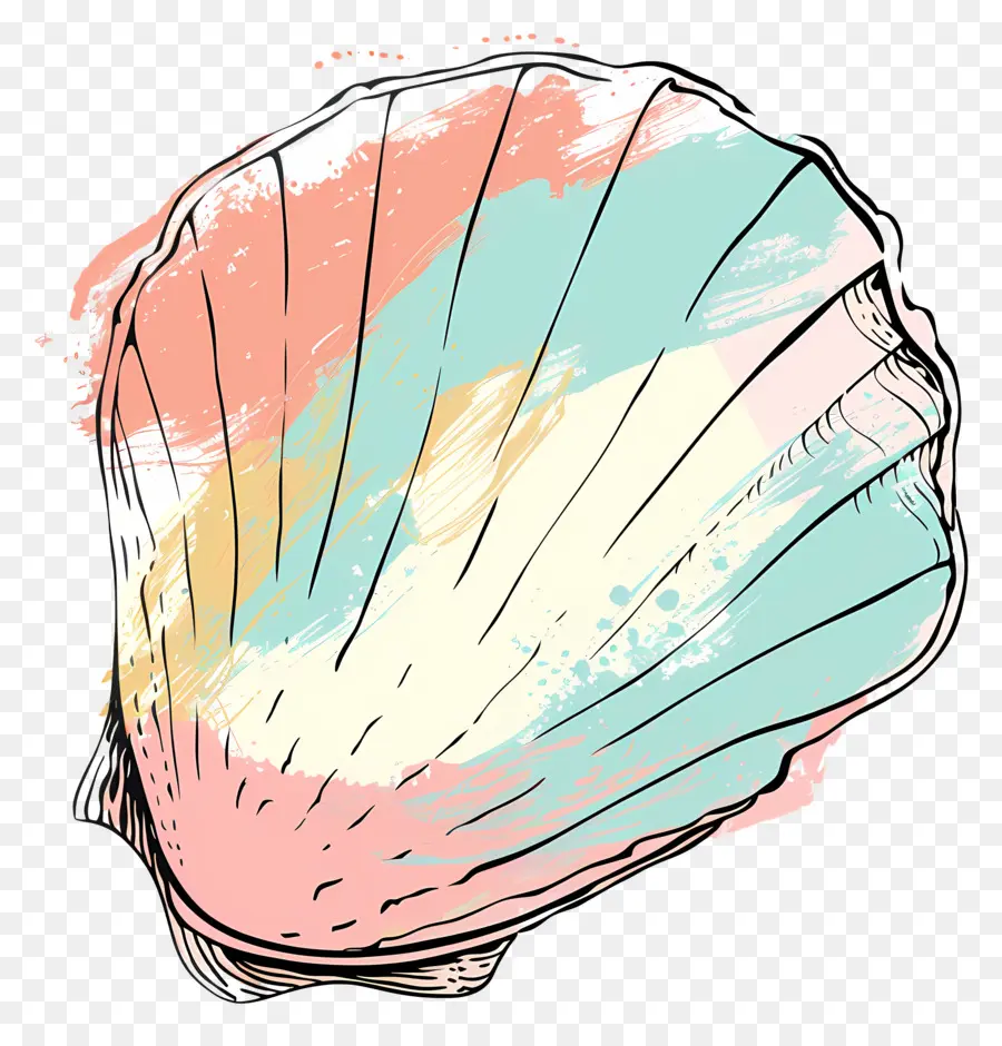 Coquillage，Shell Art PNG