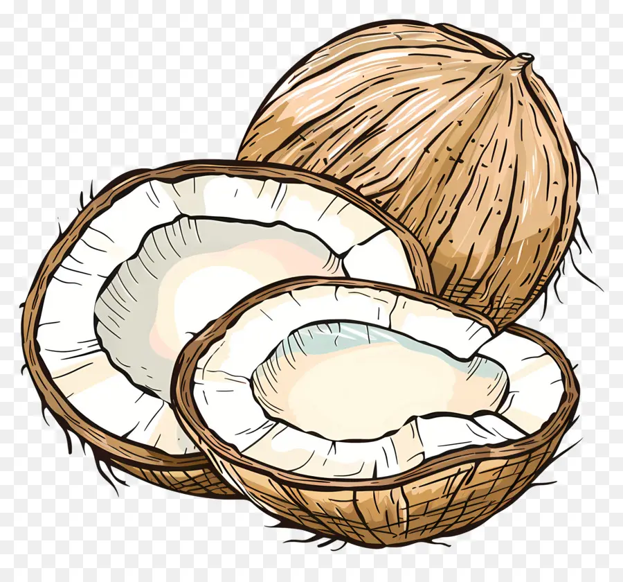 La Noix De Coco，Fruits PNG