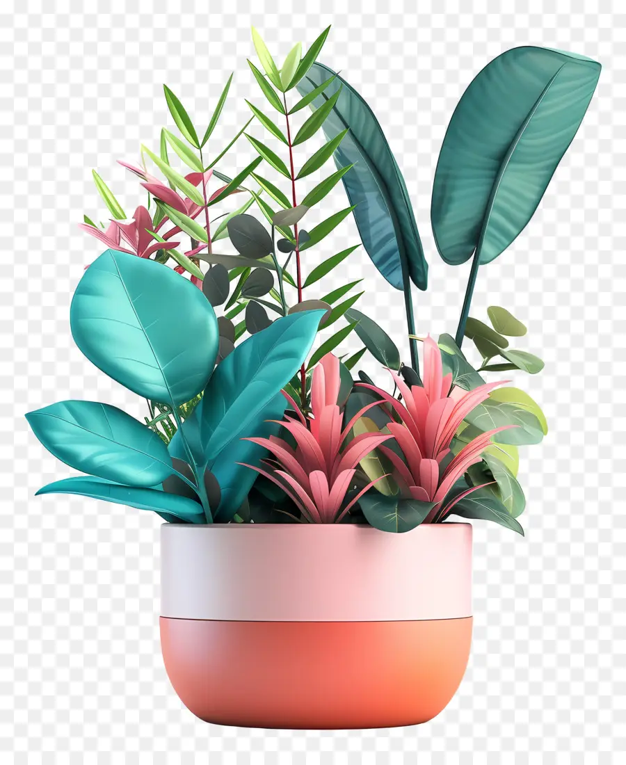 Plantes Esthétiques，Plantes Tropicales PNG