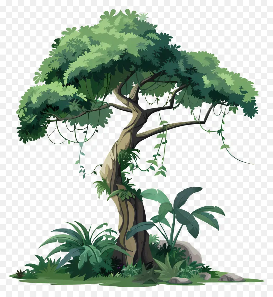 La Jungle D'arbres，Jungle PNG