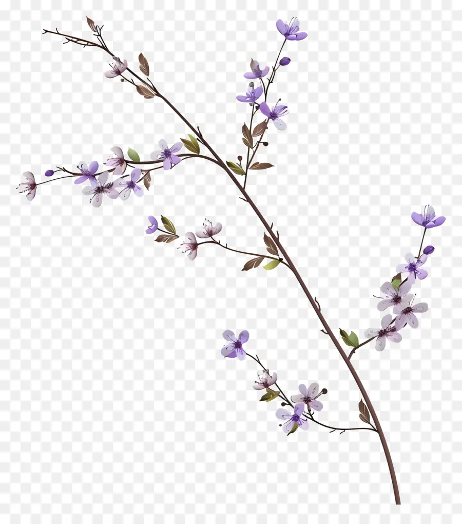 Petites Fleurs Violettes，Fleur Pourpre PNG
