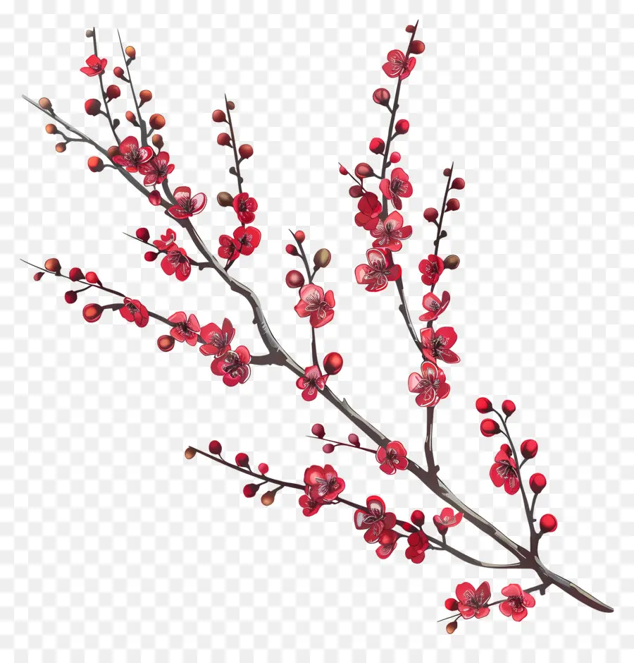 Les Petites Fleurs Rouges，Fleur De Cerisier PNG