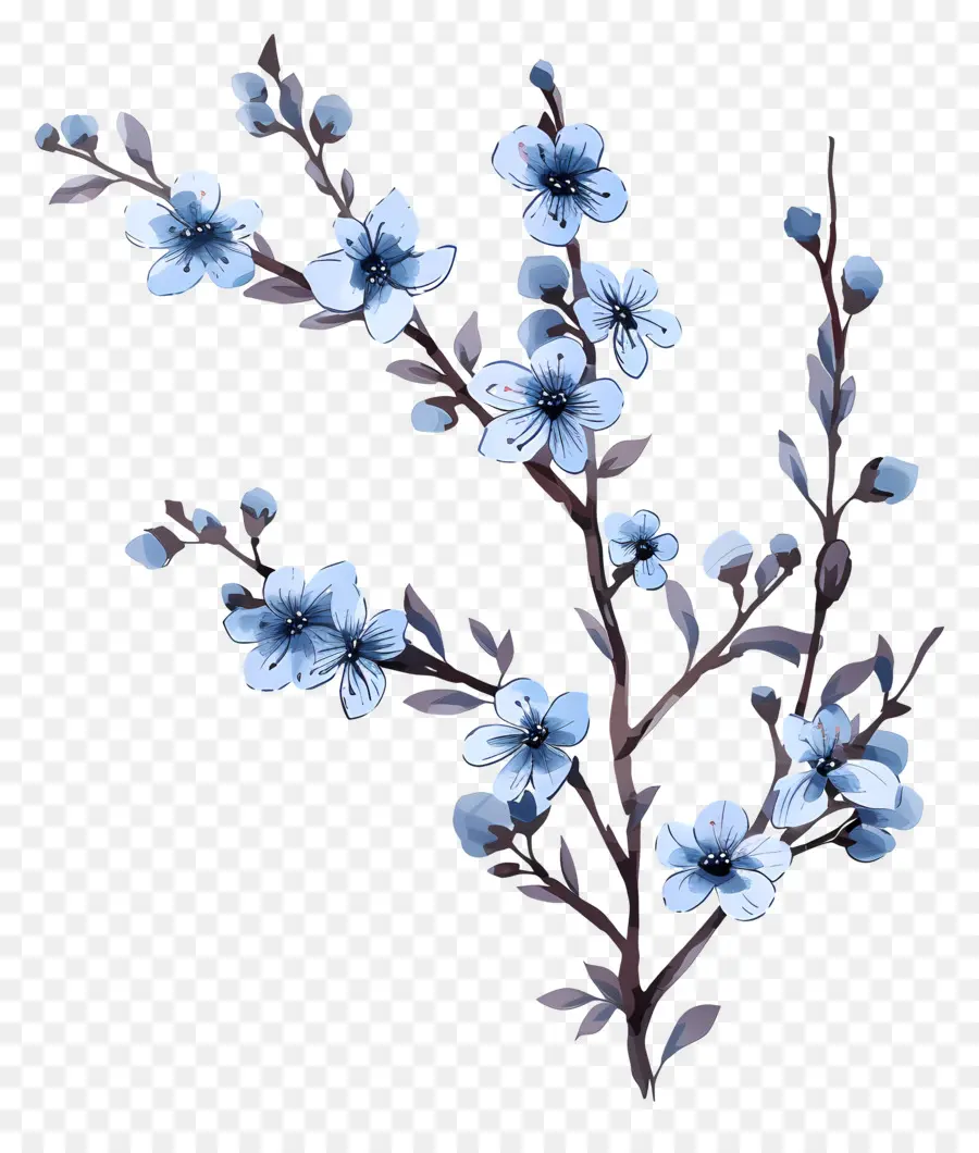 Les Petites Fleurs Bleues，Sakura PNG