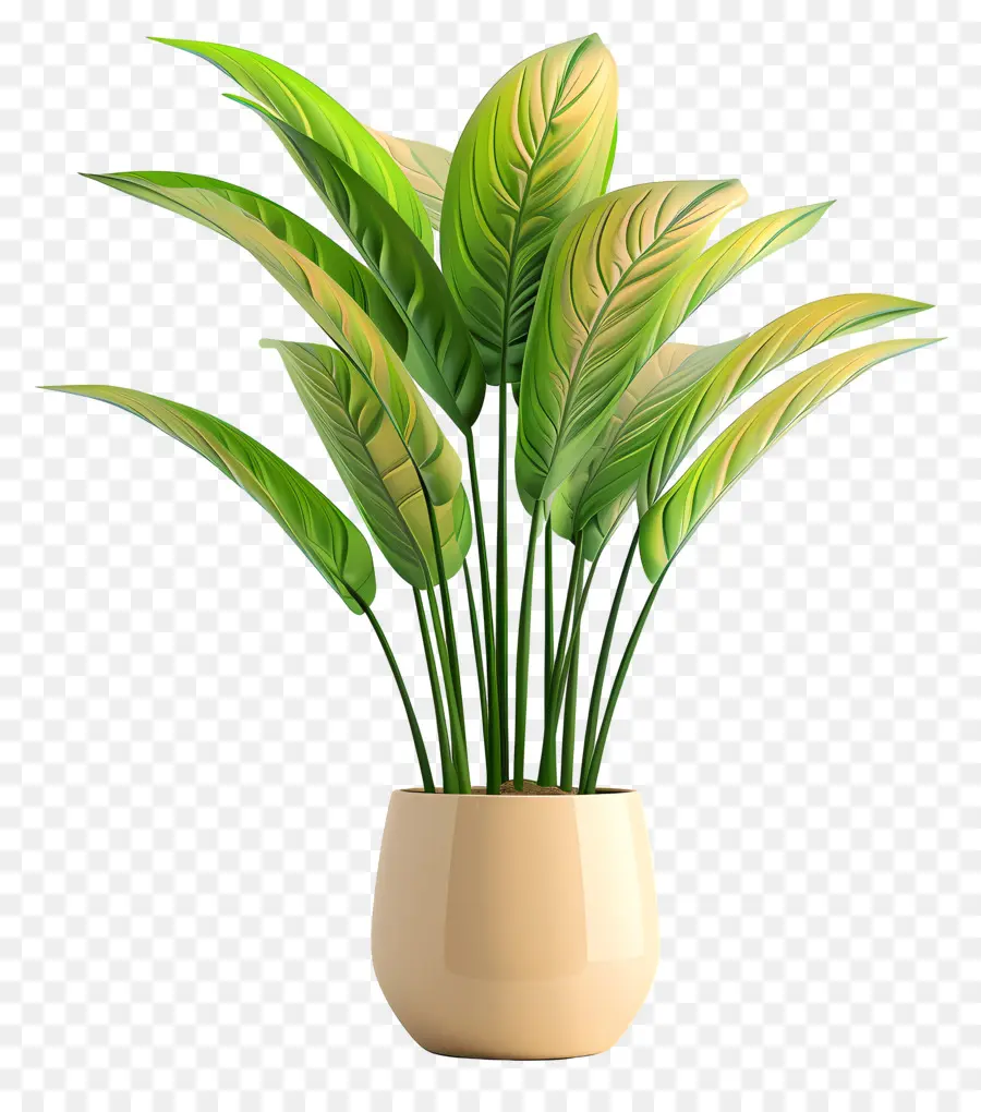 Format De Plante Intérieure，Plante En Pot PNG