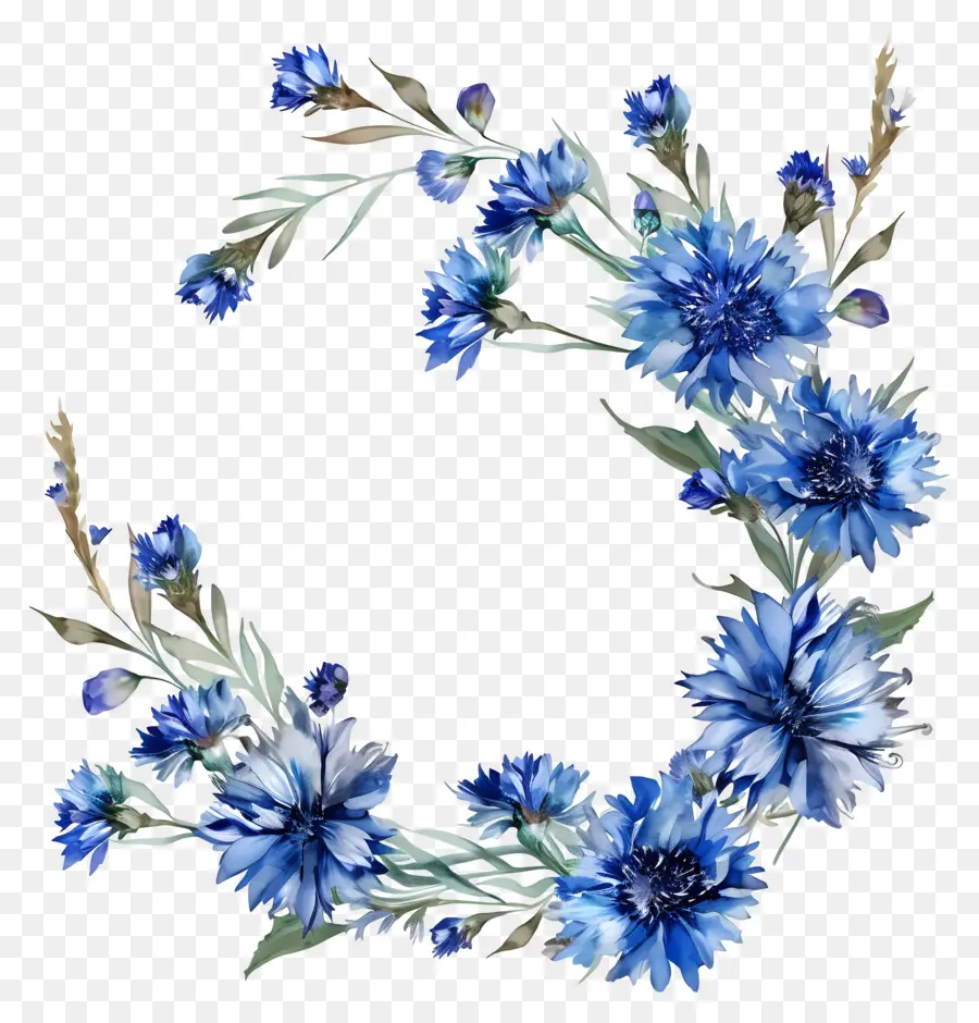 Cornflowers Bleus，Peinture à L'aquarelle PNG