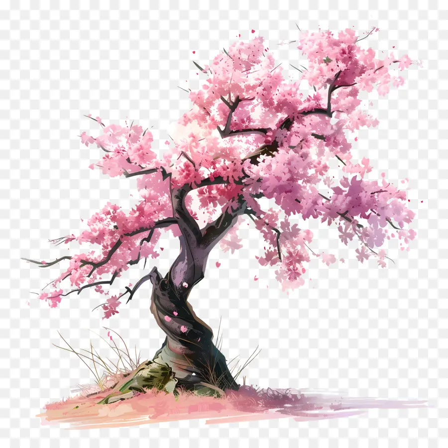 Sakura Arbre，Fleurs De Cerisier PNG